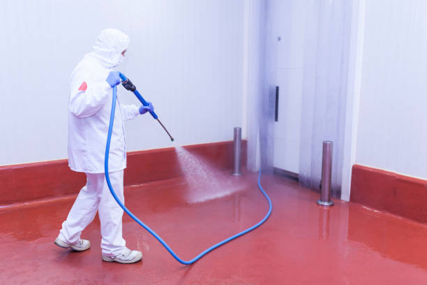 Best Concrete Sealing  in Cross Roads, TX